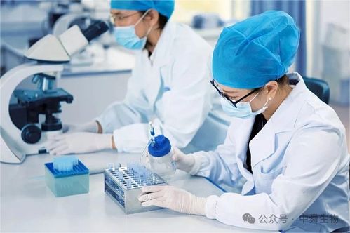 中舜生物 一站式大健康食品OEM，信息技術(shù)咨詢服務(wù)賦能品牌快速成長(zhǎng)